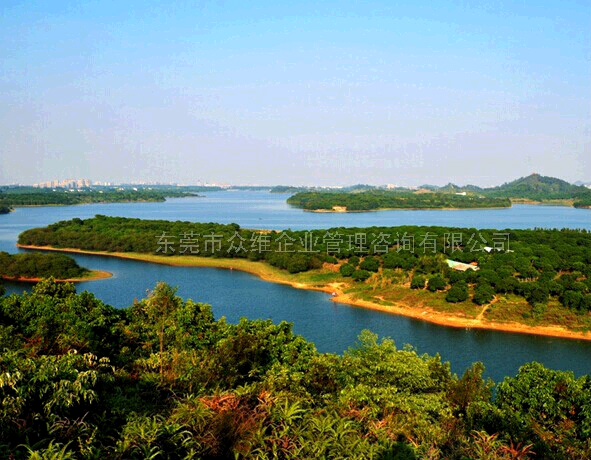 東莞松山湖野戰松湖花海基地